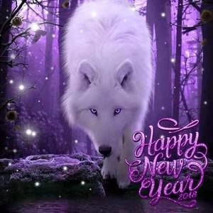 Meet your Posher, Carmen